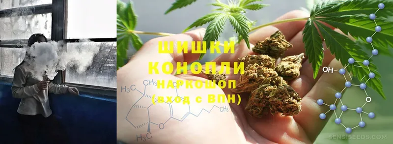 Конопля SATIVA & INDICA  купить наркотик  Корсаков 